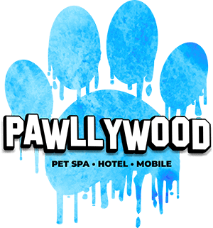 Pawllywood Pet Spa Logo 
