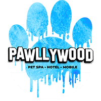 Pawllywood-Pet-Spa-Logo